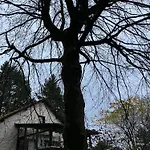 Ferienhaus-stadtkyll-eifel Beim Foerster Mit Zwei Schlafzimmern