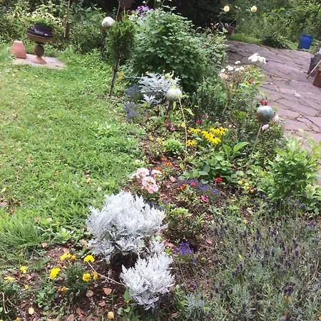 Ferienhaus-stadtkyll-eifel Beim Foerster Mit Zwei Schlafzimmern Stadtkyll