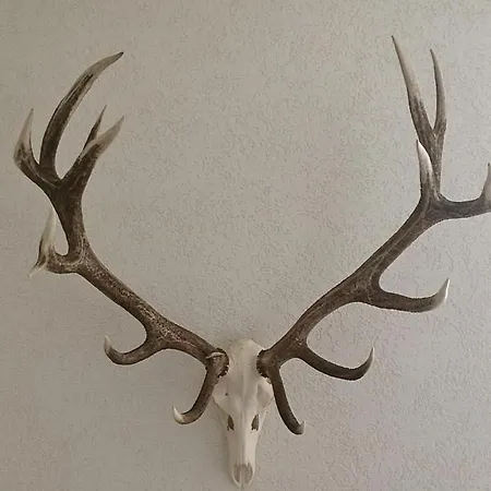 Ferienhaus-stadtkyll-eifel Beim Foerster Mit Zwei Schlafzimmern Stadtkyll