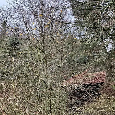 Ferienhaus-stadtkyll-eifel Beim Foerster Mit Zwei Schlafzimmern * 슈타트킬