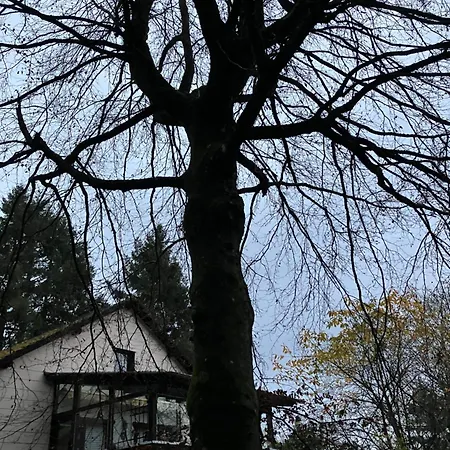 Ferienhaus-stadtkyll-eifel Beim Foerster Mit Zwei Schlafzimmern