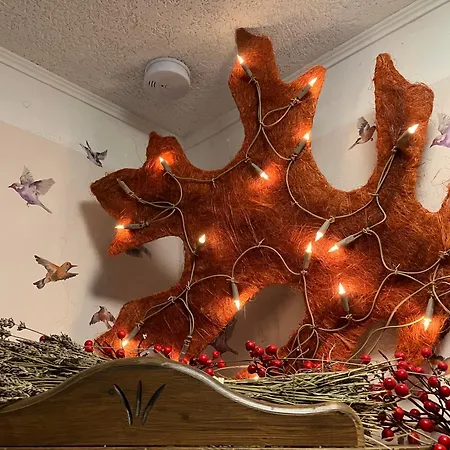 Ferienhaus-stadtkyll-eifel Beim Foerster Mit Zwei Schlafzimmern