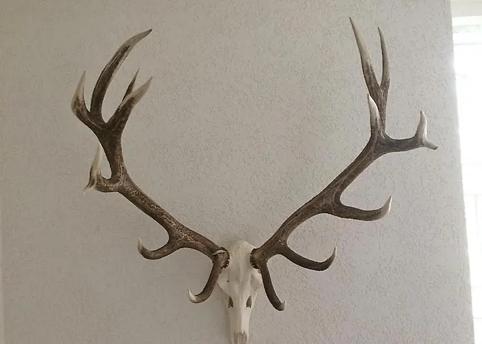 Ferienhaus-stadtkyll-eifel Beim Foerster Mit Zwei Schlafzimmern 슈타트킬