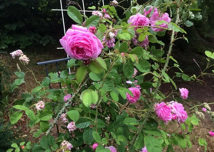 Ferienhaus-stadtkyll-eifel Beim Foerster Mit Zwei Schlafzimmern