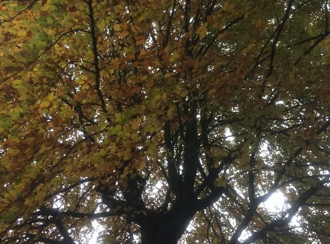 아파트 Ferienhaus-stadtkyll-eifel Beim Foerster Mit Zwei Schlafzimmern 슈타트킬