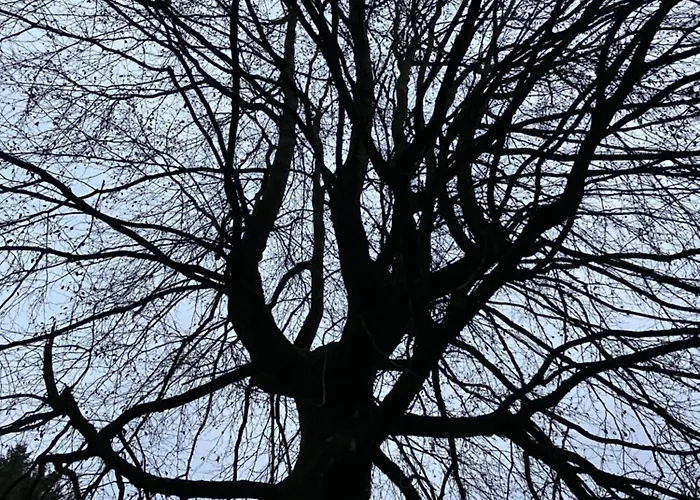 Ferienhaus-stadtkyll-eifel Beim Foerster Mit Zwei Schlafzimmern 슈타트킬