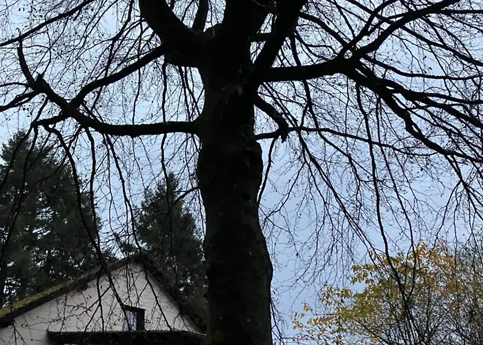 Ferienhaus-stadtkyll-eifel Beim Foerster Mit Zwei Schlafzimmern